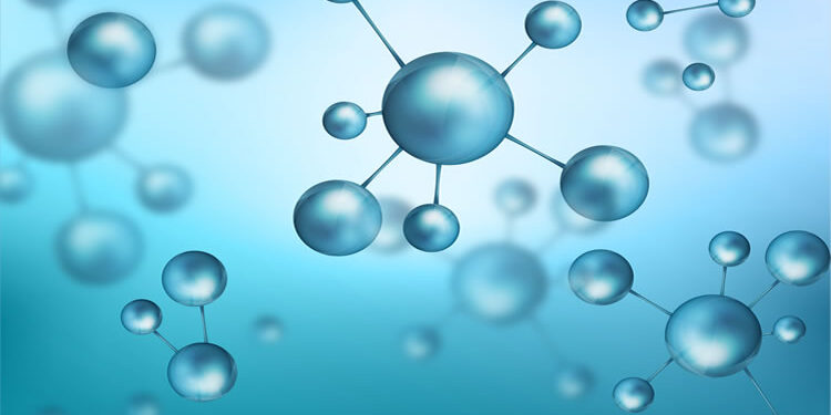 Esansiyel Aminoasit Nedir? Kaç Çeşittir? Kaynakları Nelerdir?