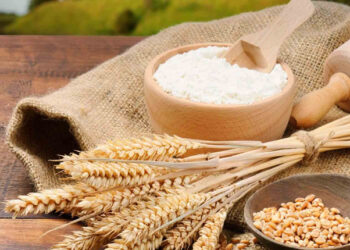 Tam Buğday Unu Nedir? Beyaz Un Mu, Tam Buğday Unu Mu? Hangisi Daha Sağlıklı?