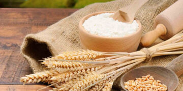 Tam Buğday Unu Nedir? Beyaz Un Mu, Tam Buğday Unu Mu? Hangisi Daha Sağlıklı?