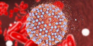 Hepatit C Virüsü (HCV) Nedir? Neden Olur? Nasıl Bulaşır?