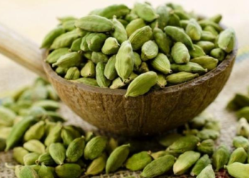 Kakule Nedir? Faydaları Nelerdir? Hangi Hastalıklarda Etkilidir?