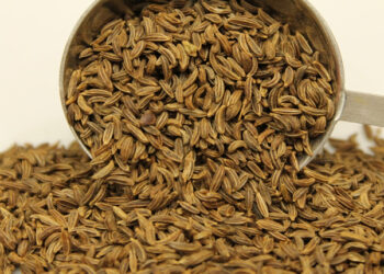 Frenk Kimyonu Nedir? Özellikleri Nelerdir? Hangi Hastalıklara İyi Gelir?