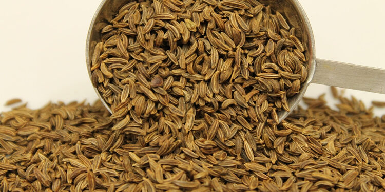 Frenk Kimyonu Nedir? Özellikleri Nelerdir? Hangi Hastalıklara İyi Gelir?