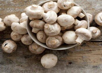 Kültür Mantarı Nedir? Sağlığa Etkileri Nelerdir?