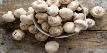 Kültür Mantarı Nedir? Sağlığa Etkileri Nelerdir?