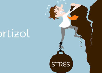 Stres Düzenleyici Hormon: Kortizol Nedir? İnsan Hayatına Nasıl Etki Eder?