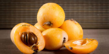 Malta Eriği (Yenidünya) Kaç Kaloridir? Ne Zaman Tazedir? Faydaları Nelerdir?