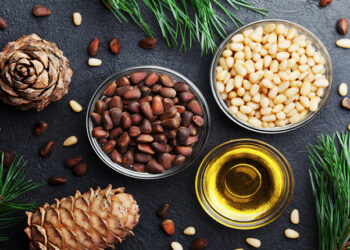 Çam Fıstığı Nedir? Faydaları Ve Zararları Nelerdir?