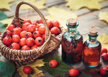 Alıç Nedir? Faydaları Nelerdir? Hangi Hastalıklara İyi Gelir?