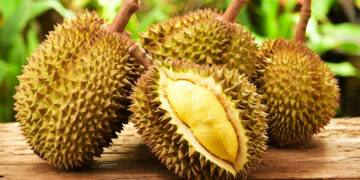 Durian (Duryan) Nedir? Sağlığa Faydaları Nelerdir?