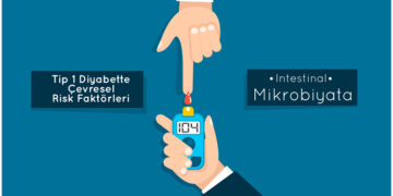 Tip 1 Diyabette Çevresel Risk Faktörleri: İntestinal Mikrobiyata