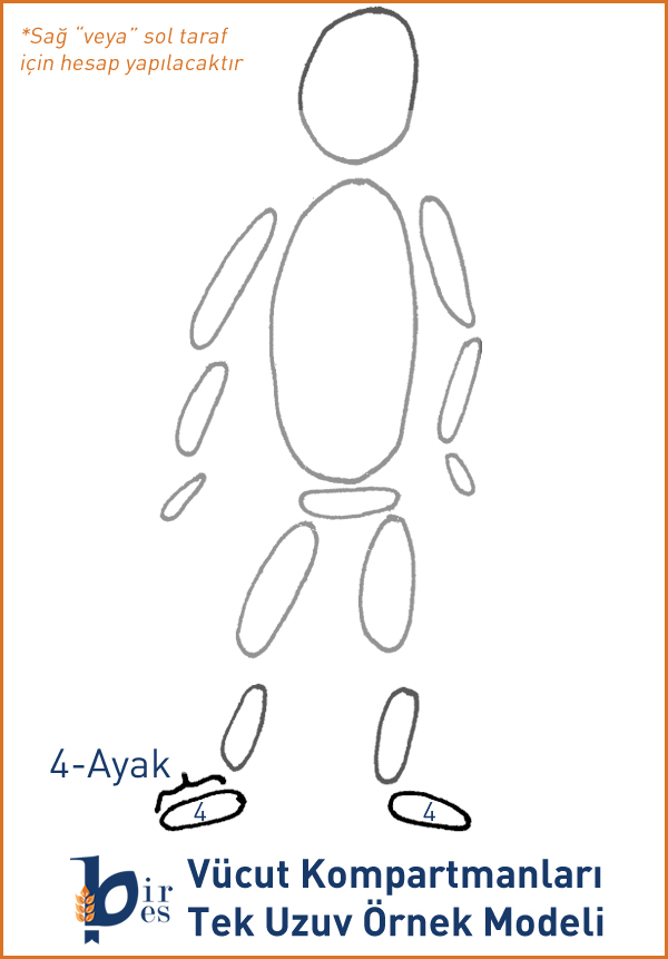 Vücut Kompartmanları Örnek Modeli-Ayak Amputasyonu-erkek