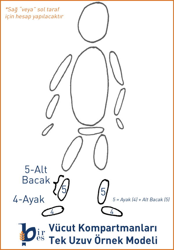 Vücut Kompartmanları Örnek Modeli-Alt Bacak+Ayak Amputasyonu-erkek
